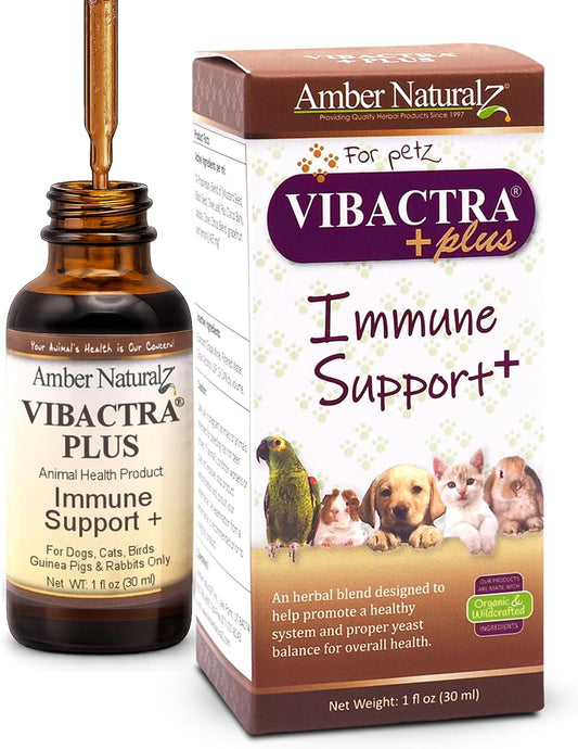Amber NaturalZ Vibactra Plus Herbal Supplement for Dogs, Cats, Birds, Guinea Pigs, and Rabbits | Herbs for Immune Health and Yeast Balance | 1 Fluid Ounce Glass Bottle - Image 1