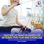 Detachable bell feature on the Pet Fit For Life interactive teaser.