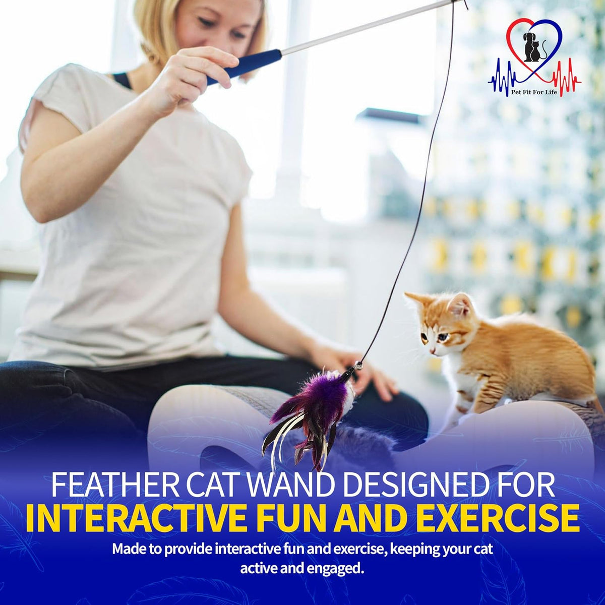 Detachable bell feature on the Pet Fit For Life interactive teaser.