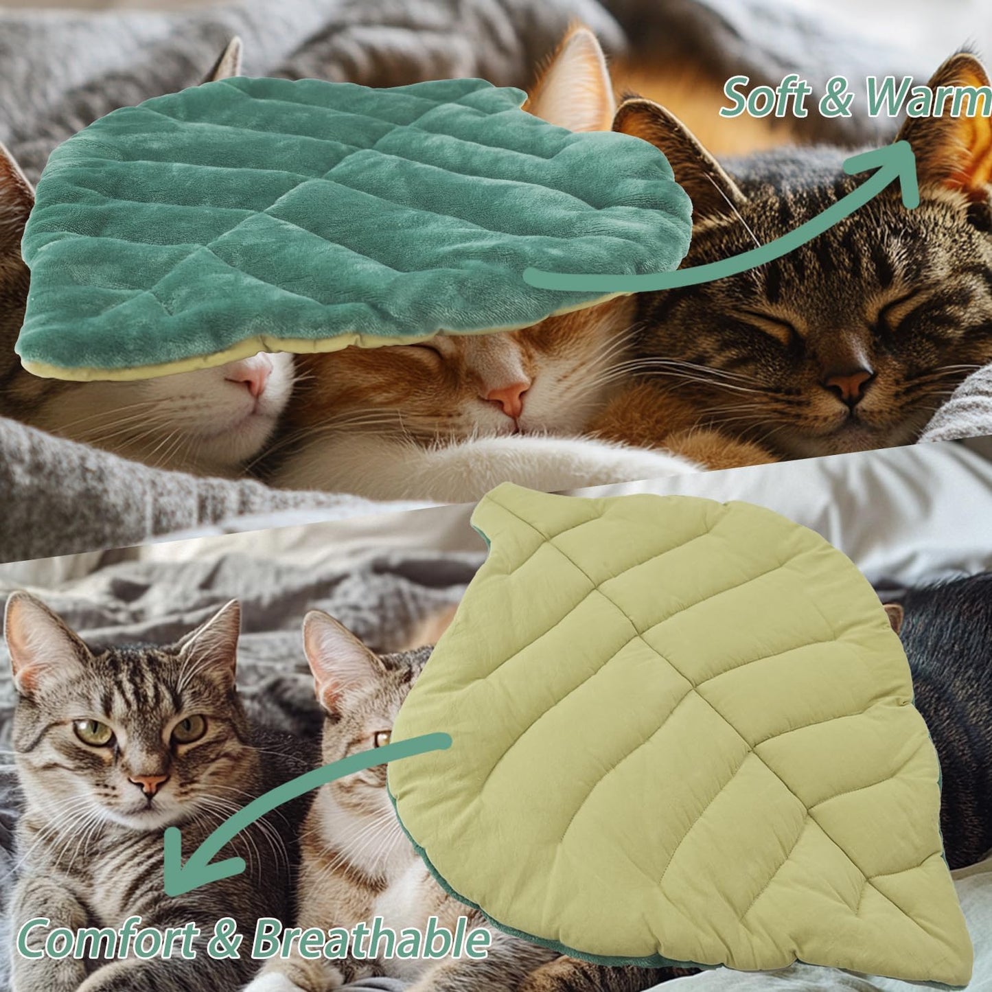 Reversible cotton side of the green leaf pet mattress on a sofa