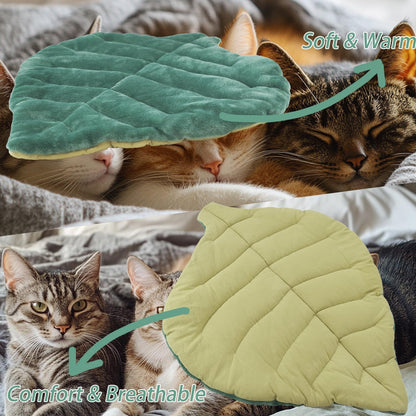Reversible cotton side of the green leaf pet mattress on a sofa