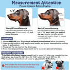 Adjustable headcollar for medium long nose dogs training setup