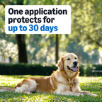 Flea and tick spot on treatment active ingredients fipronil label