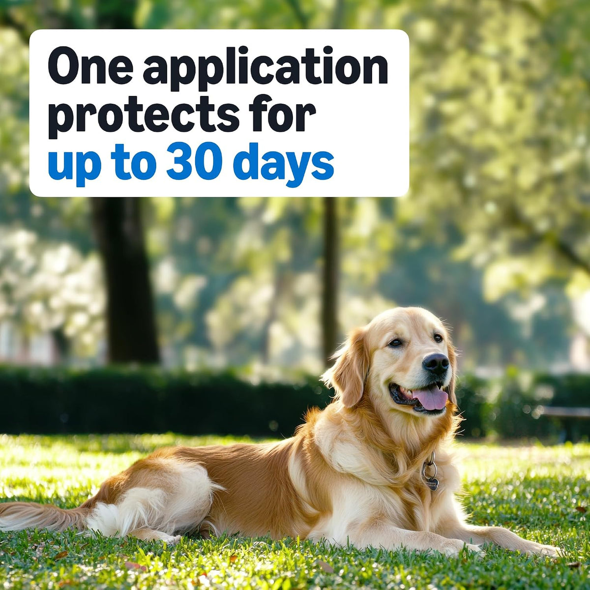 Flea and tick spot on treatment active ingredients fipronil label