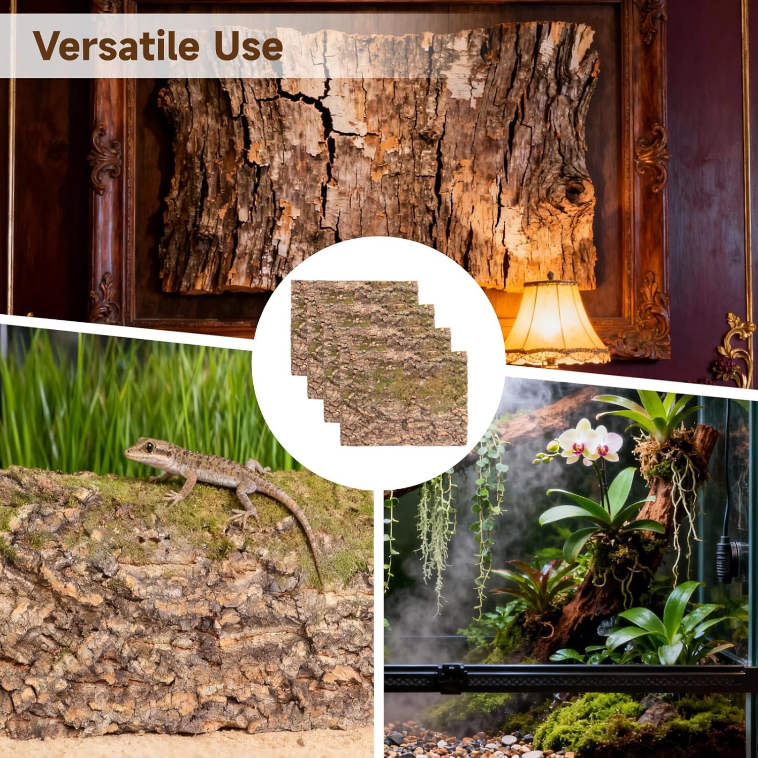 Moisture resistant cork terrarium background panel in a humid gecko enclosure