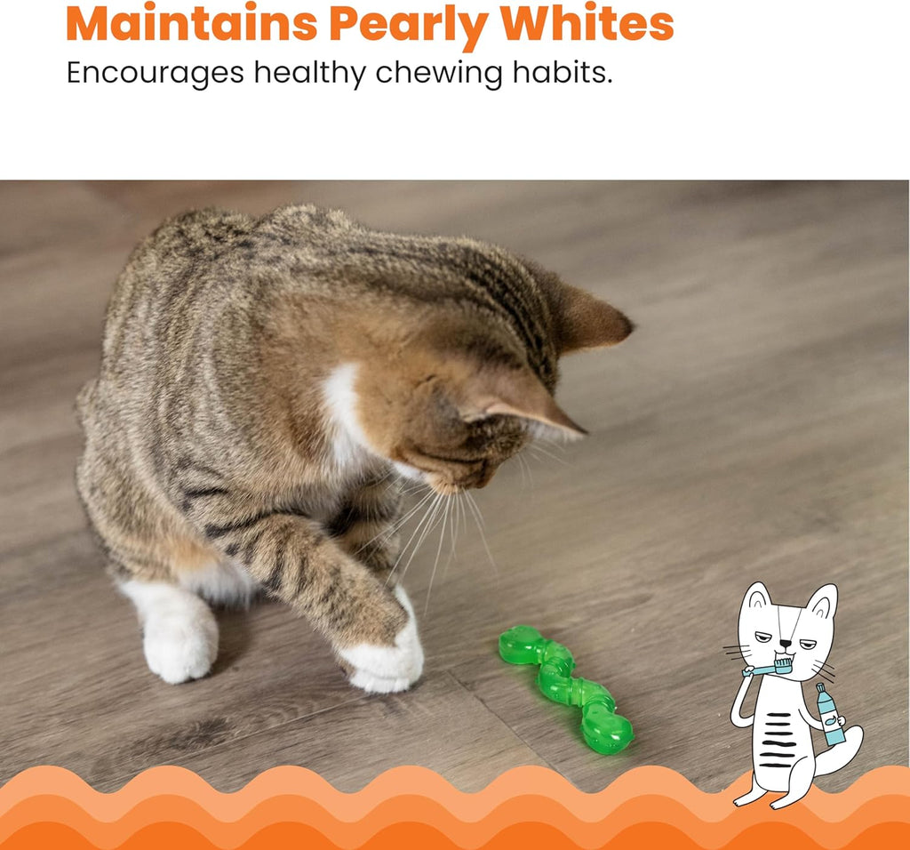 Teething kitten biting down on Catstages Orka Kat Wiggle Worm rubber toy