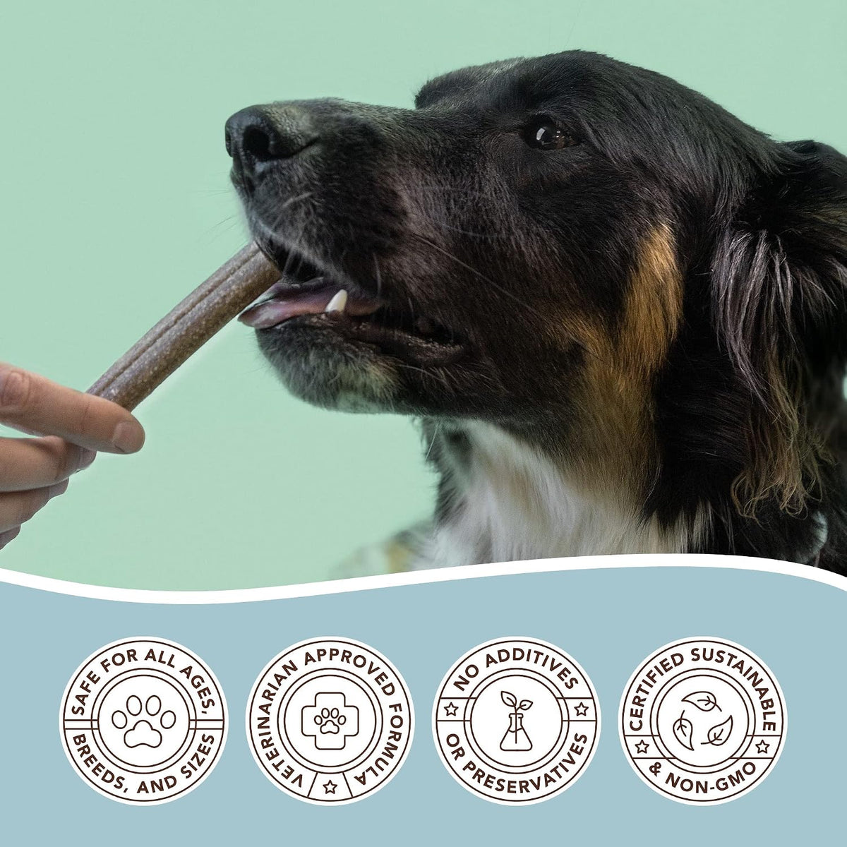Vet formulated corn free and soy free dog dental sticks close up