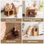 Domestic cat relaxing inside Eheyciga cardboard cat house