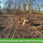 Full length view of the twenty feet neon green reflective dog leash for outdoor camping.