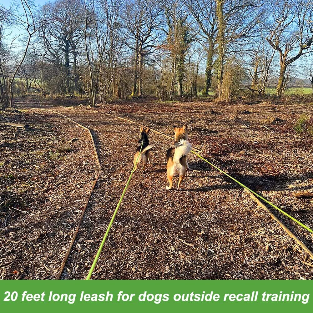Full length view of the twenty feet neon green reflective dog leash for outdoor camping.