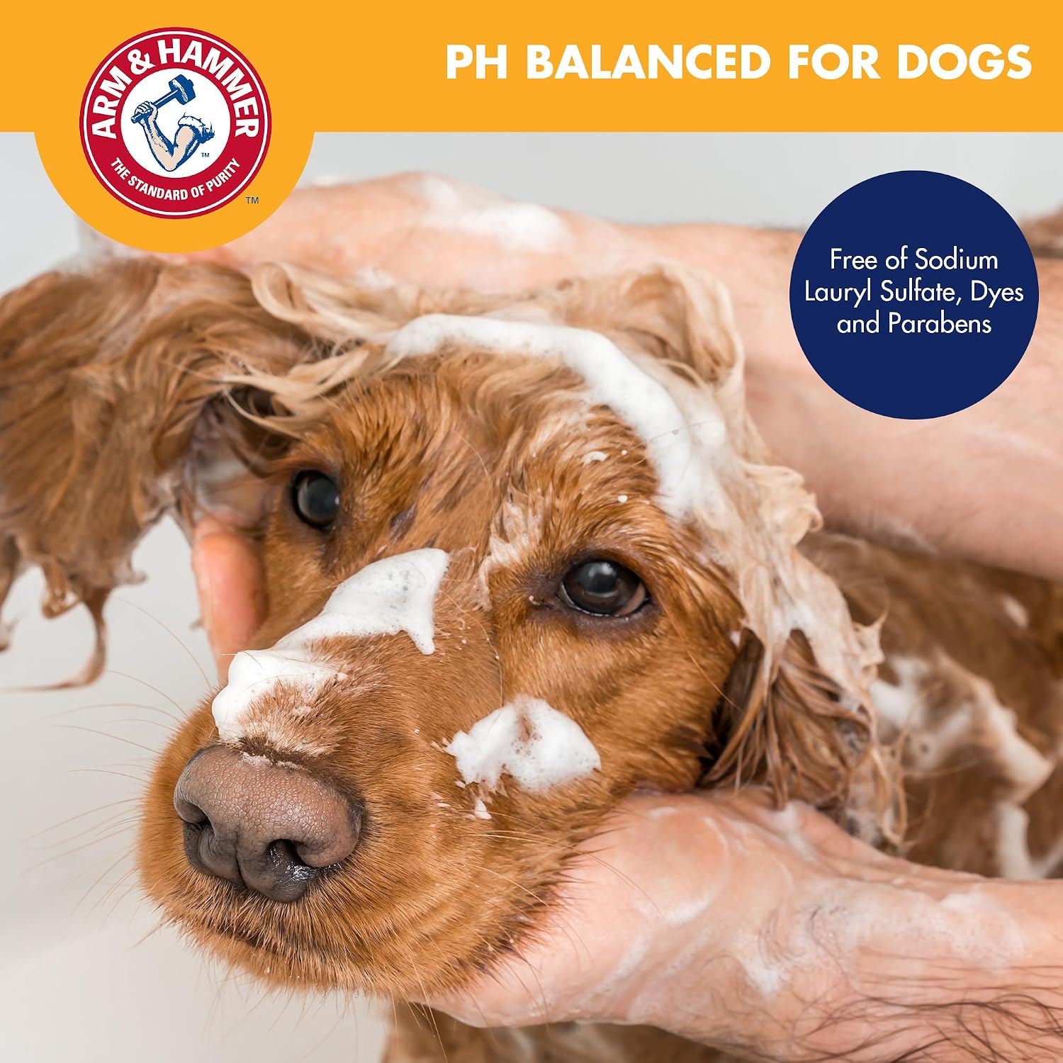 USA imported Arm and Hammer pet spray for dogs