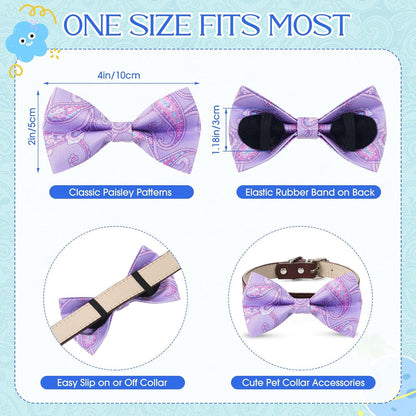 Fluffy Golden Retriever and gray kitten wearing patterned Sanwuta pet collar accessories
