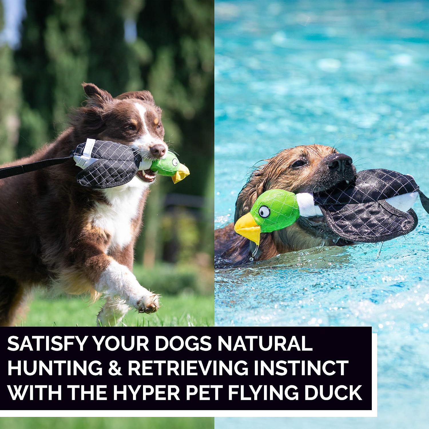 Hyper Pet Flying Series interactive toy for dogs