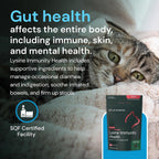 VetriScience extra strength lysine for cat eye health and immunity