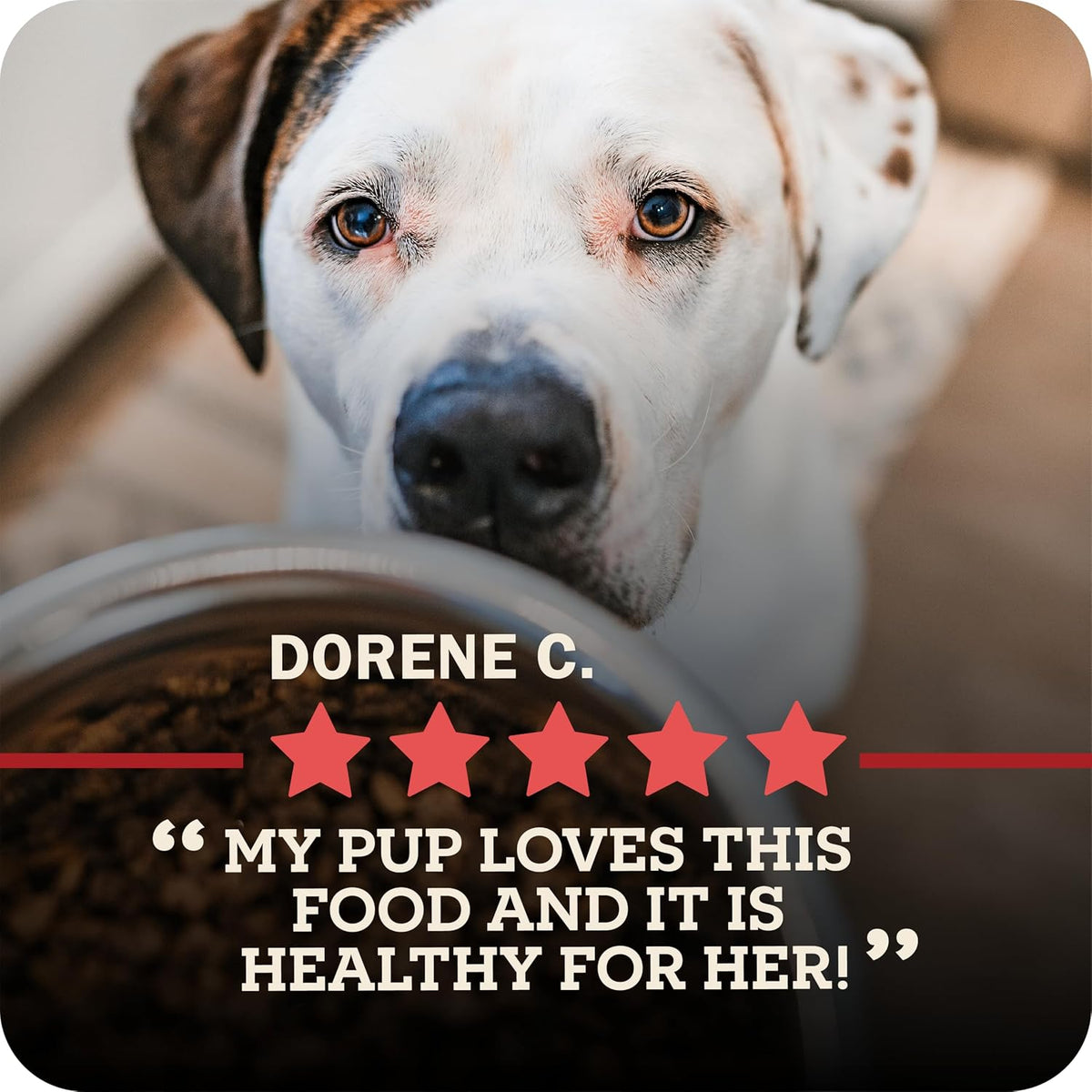 Redbarn Powerfood Air Dried Dog Food 2 lbs High Protein Beef and Lamb with Prebiotics Postbiotics for Digestive Health Wholesome Pet Food Complete Meal Made in USA - Image 10