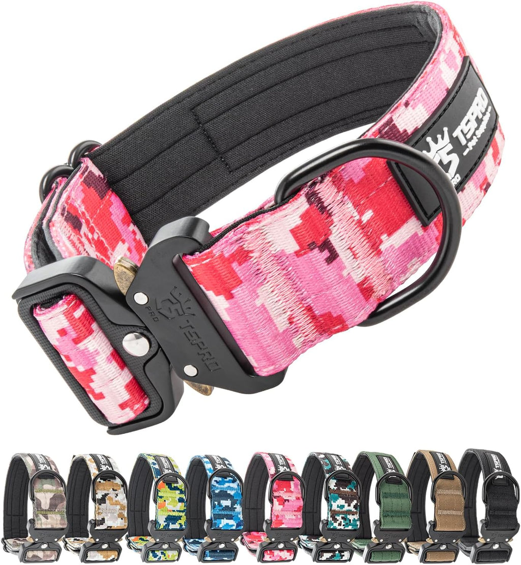 Tspro orange tactical collar on a large dog breed