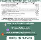 60 count soft chews container for dog joint health