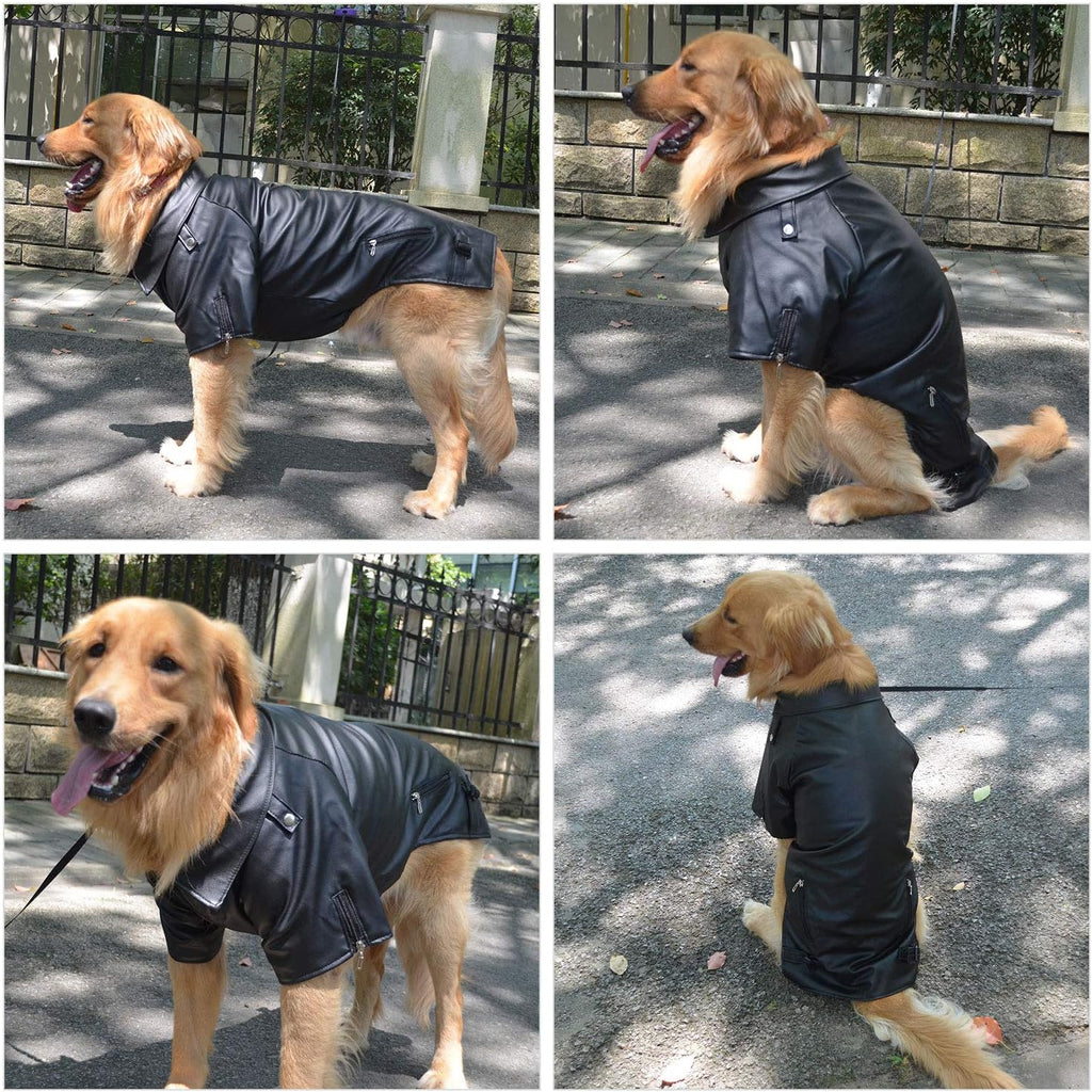 Detail shot of zipper and buckles on dog motorcycle jacket
