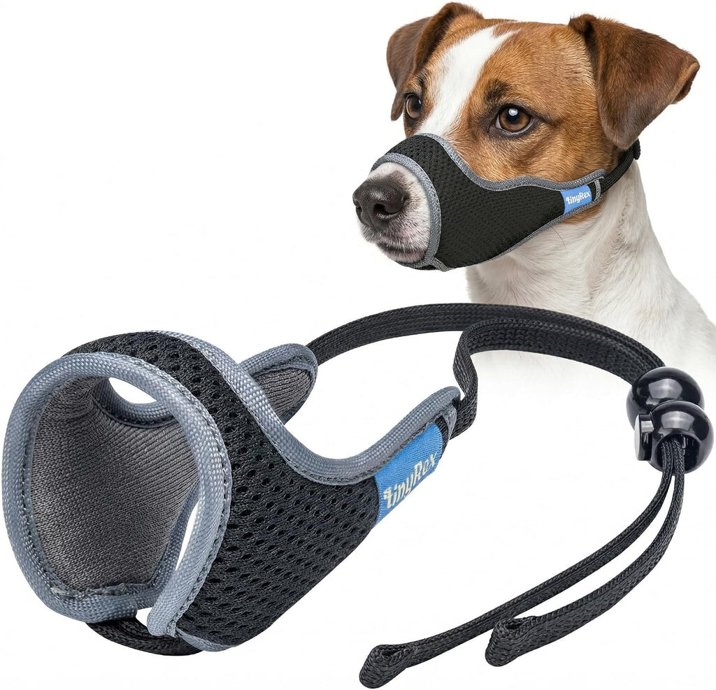 TinyRex one pull adjustable dog muzzle front view on a small dog.
