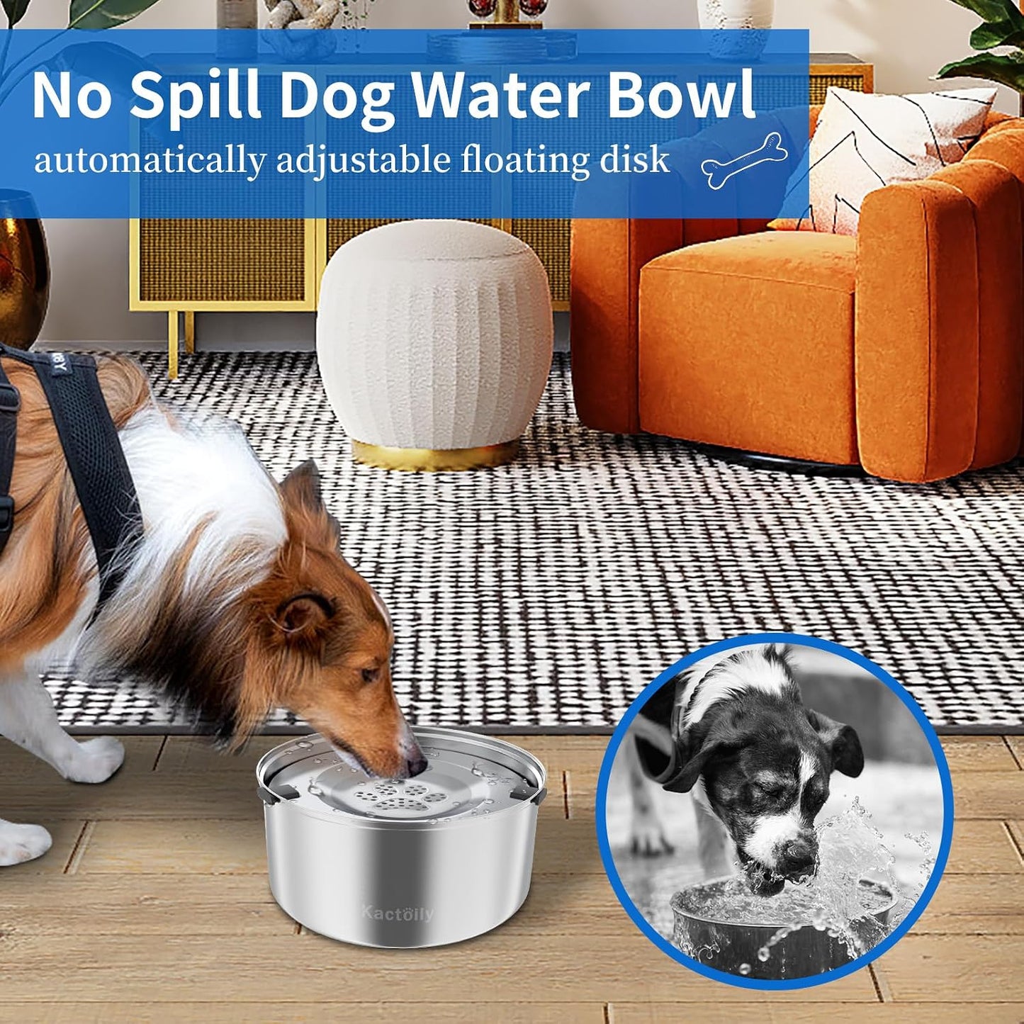 Large capacity three liter slow drinking pet water feeder dispenser on a kitchen floor.
