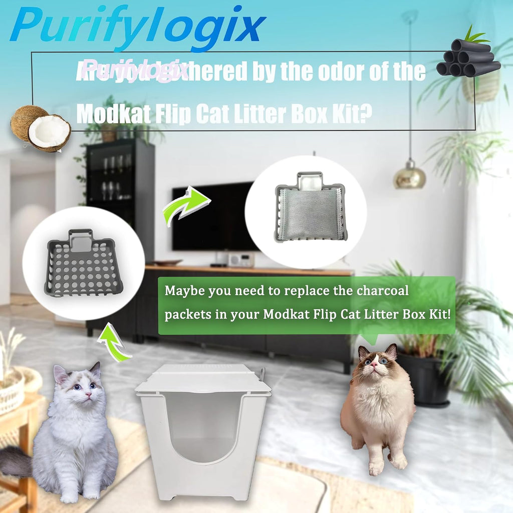PurifyLogix natural coconut shell charcoal replacement filters showing highly porous granular texture