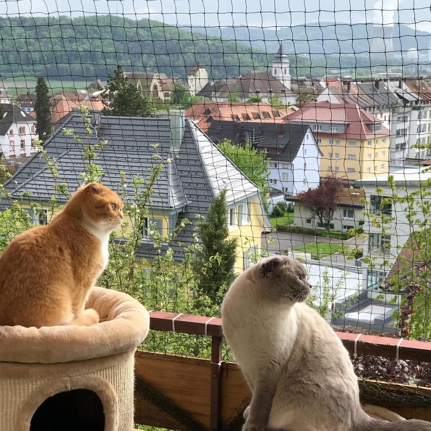 Jumxsrle wire-reinforced cat balcony netting 10x3m front view