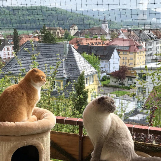 Jumxsrle wire-reinforced cat balcony netting 10x3m front view