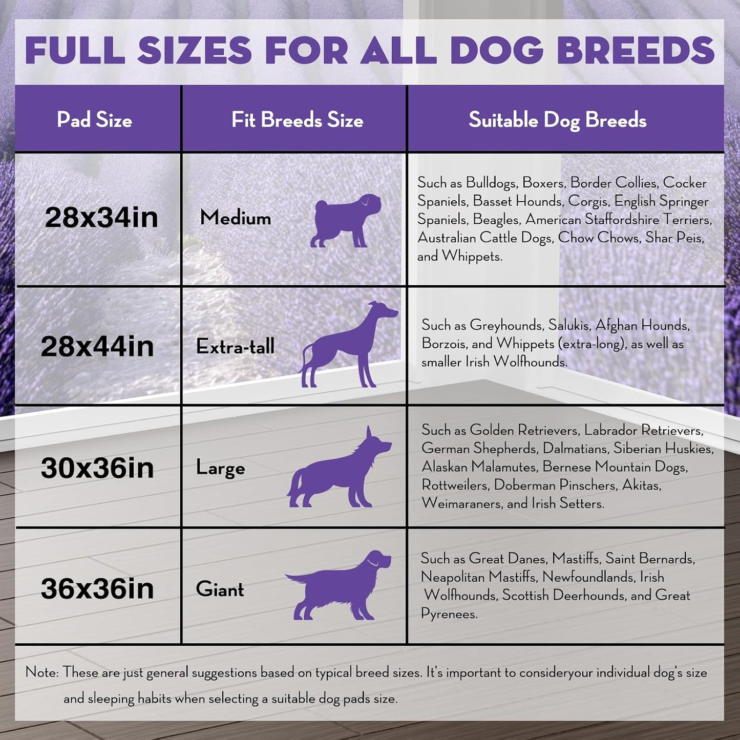 Croci lavender scented pet training pad being placed inside a large dog crate