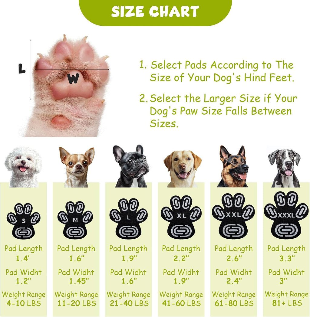 Dapaw dog paw stickers providing heat protection on hot outdoor pavement
