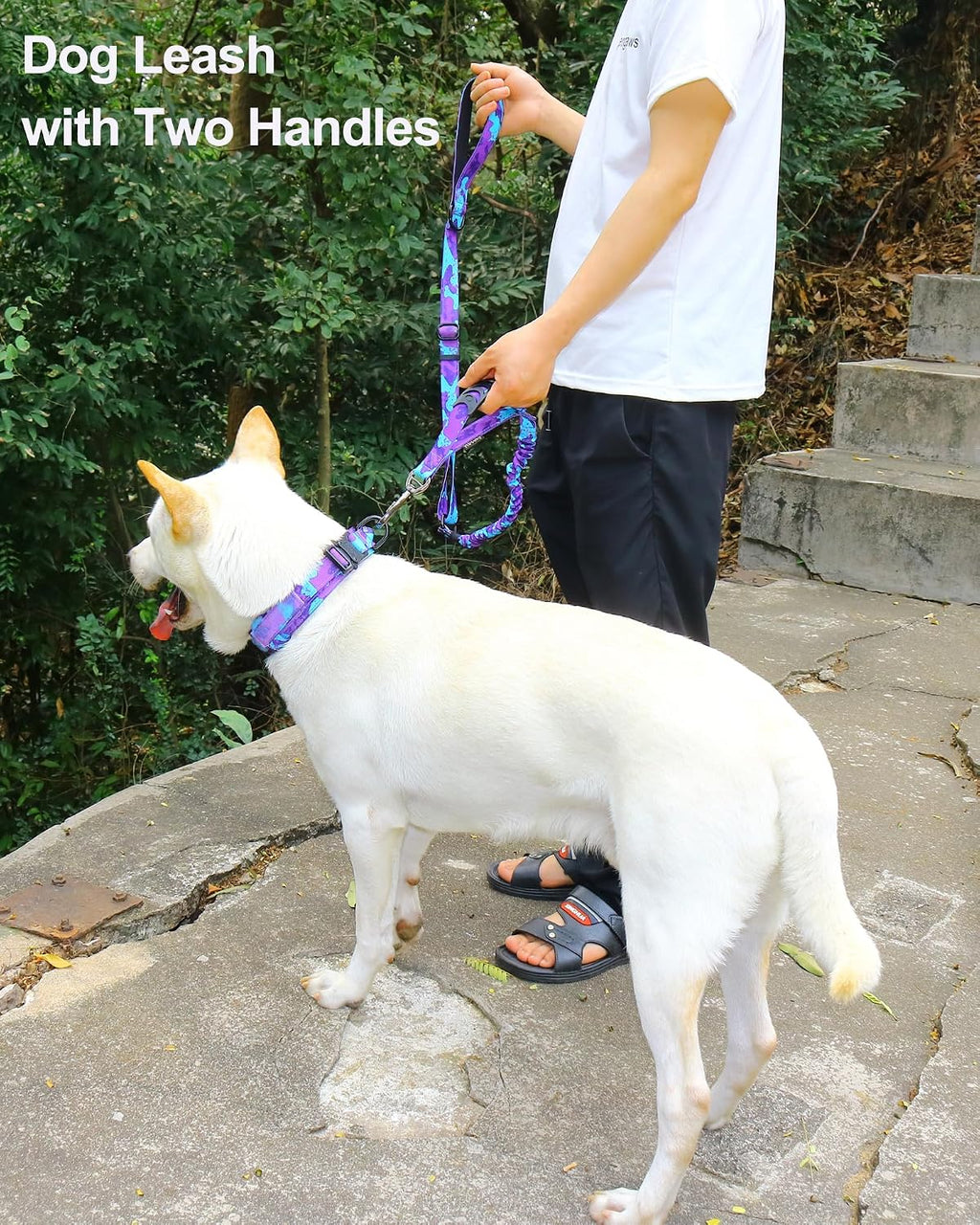 Hotsky no pull dog leash showing the dual padded traffic control handles