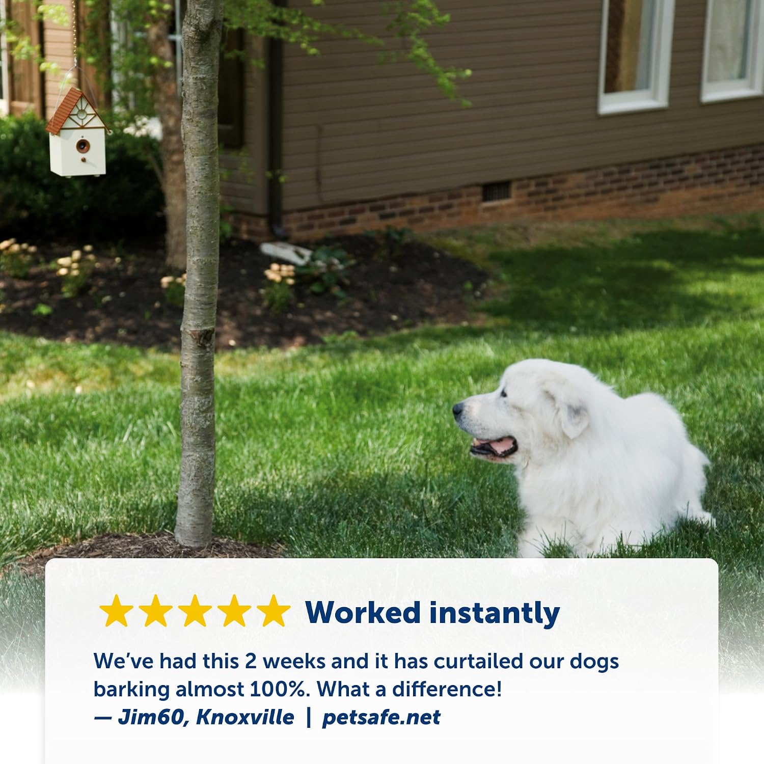 Close up of PetSafe bark control speaker and microphone area