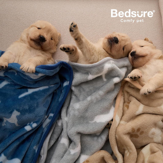 Bedsure ultra soft flannel fleece puppy blankets spread out on a living room couch.