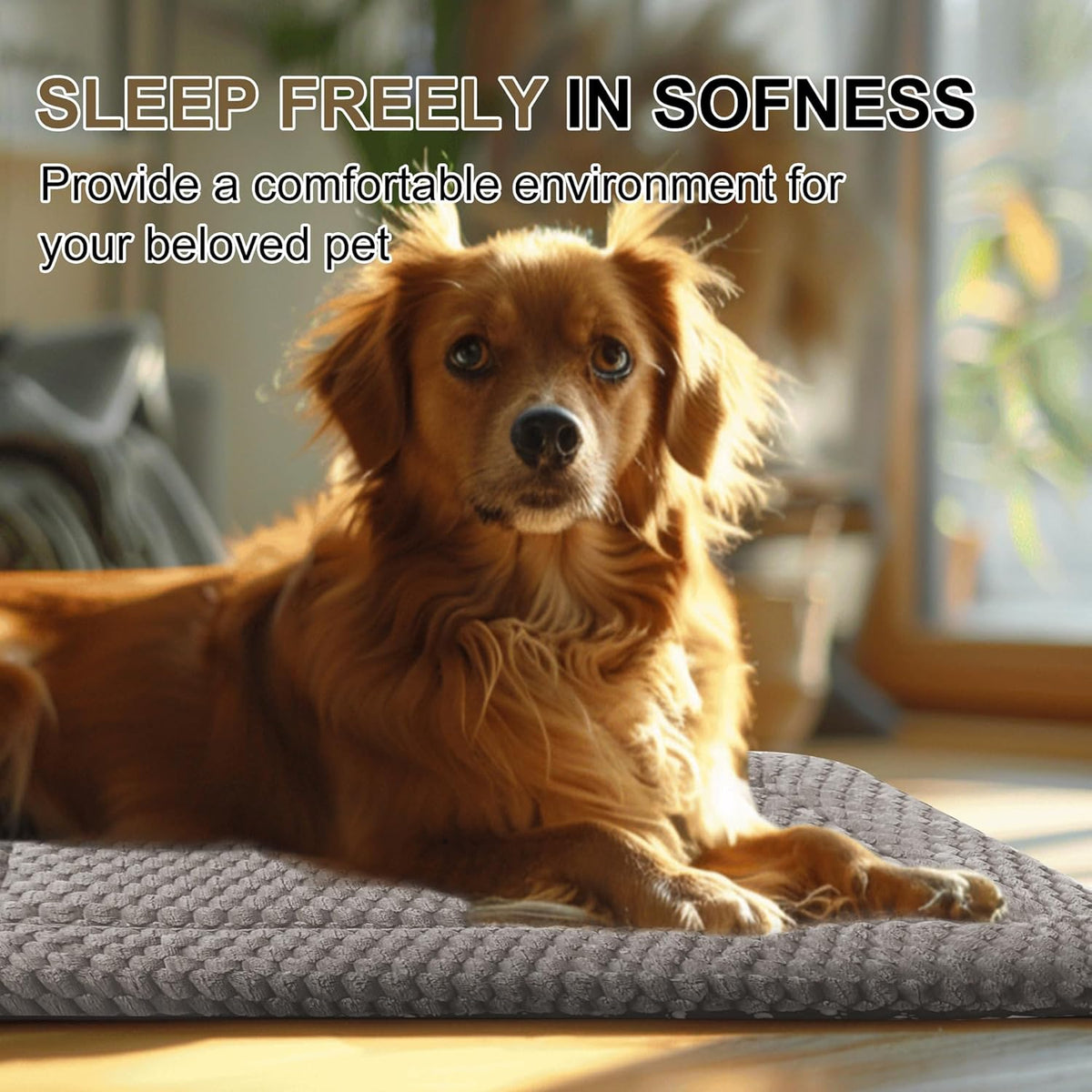 Small dog bed crate mat inside wire kennel