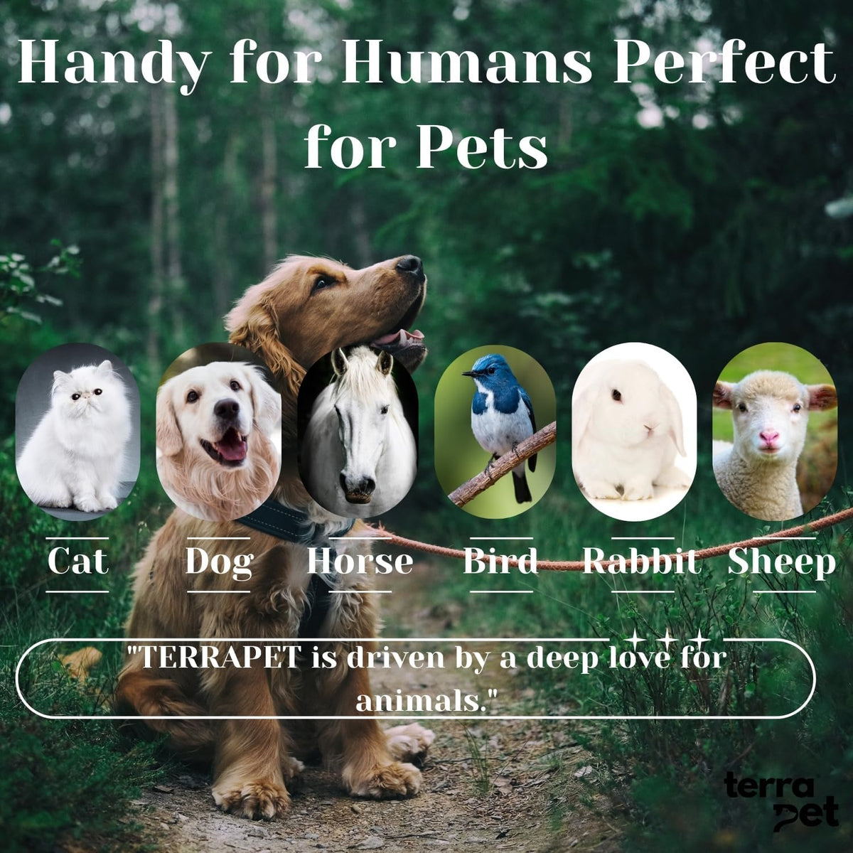 VivaElixir veterinary eye cream tube for dogs and cats