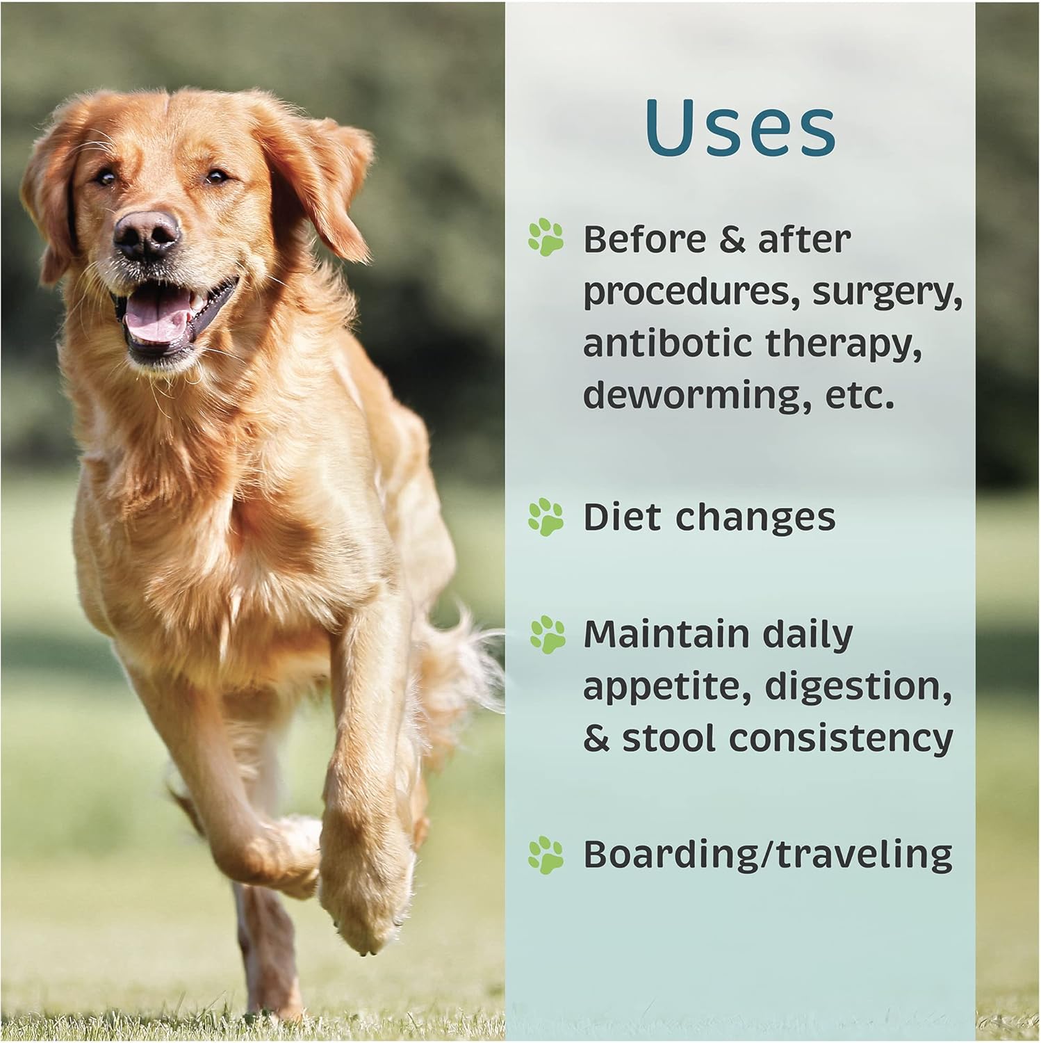 Palatable poultry liver flavored probiotic powder being sprinkled onto dog food