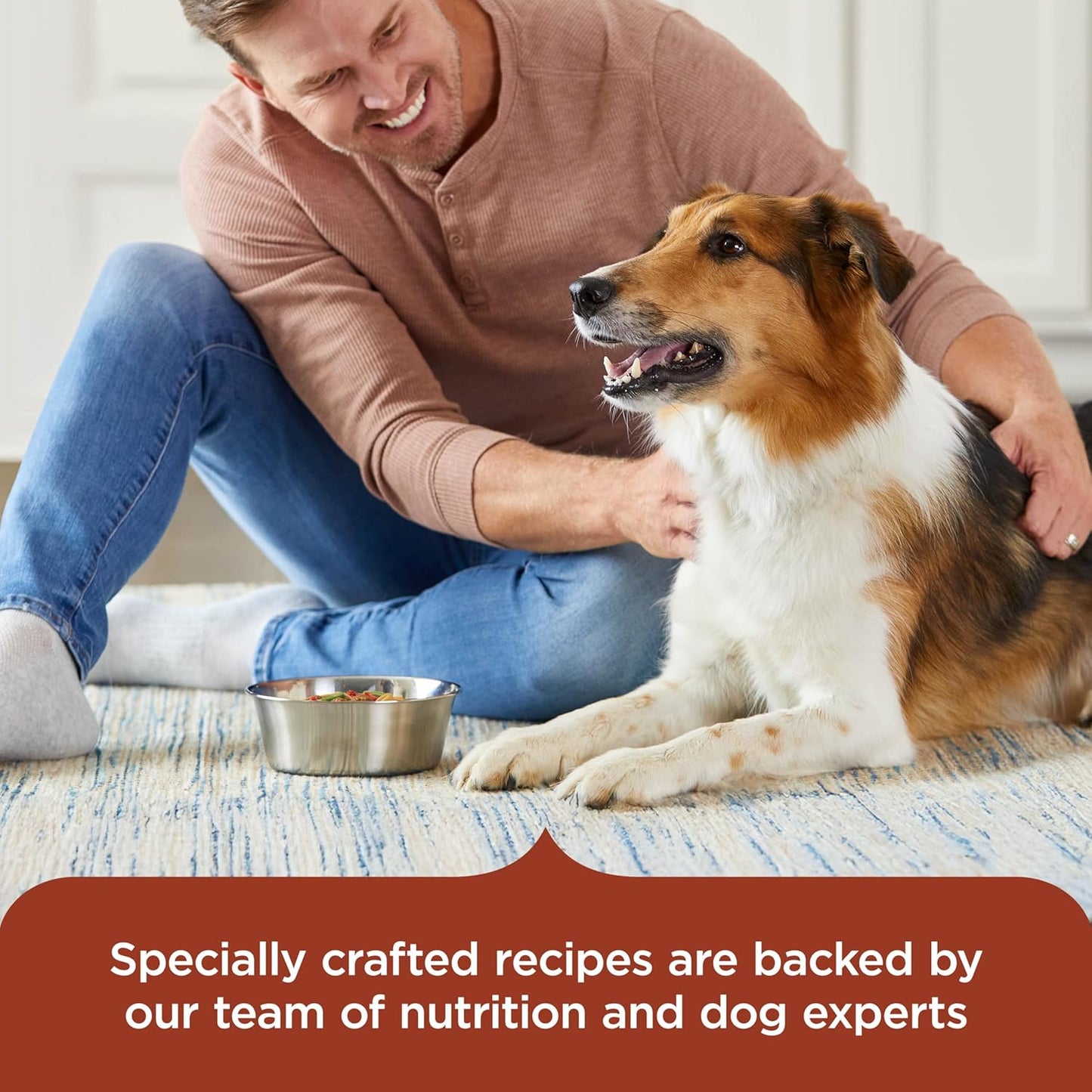 Savory Lamb Stew natural dog food ingredient overview