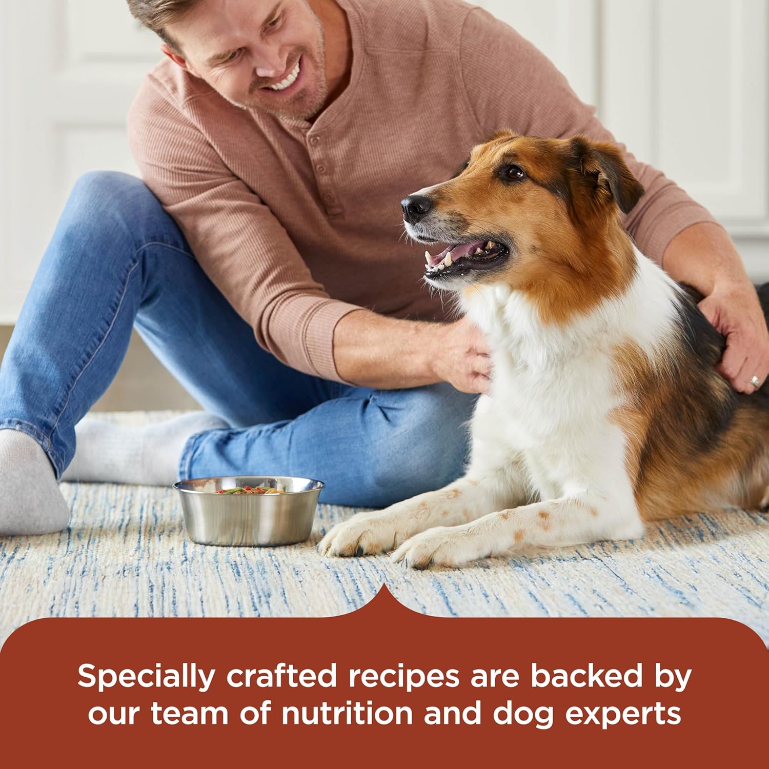 Savory Lamb Stew natural dog food ingredient overview