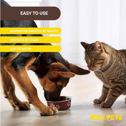 Packaging box of Holy Pets respiratory infection support supplement for pets.
