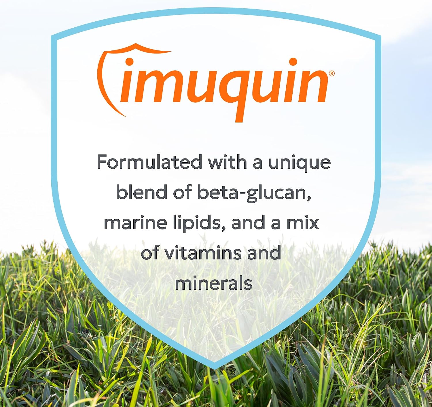 Veterinarian recommended Nutramax Imuquin powder for cats