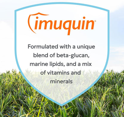 Veterinarian recommended Nutramax Imuquin powder for cats