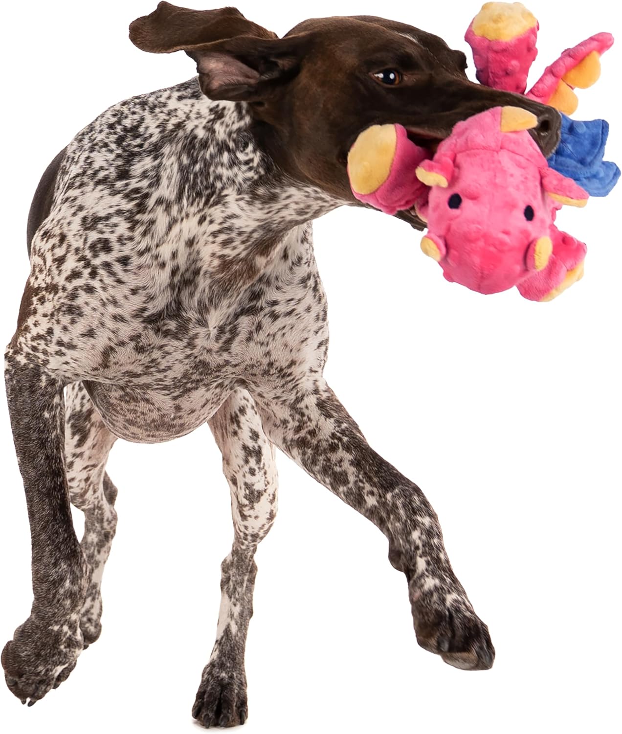 Premium goDog imported squeaky dog toy in vibrant pink coral