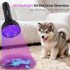 Realhunlee 395nm black light illuminating dried pet urine stains on a home carpet.