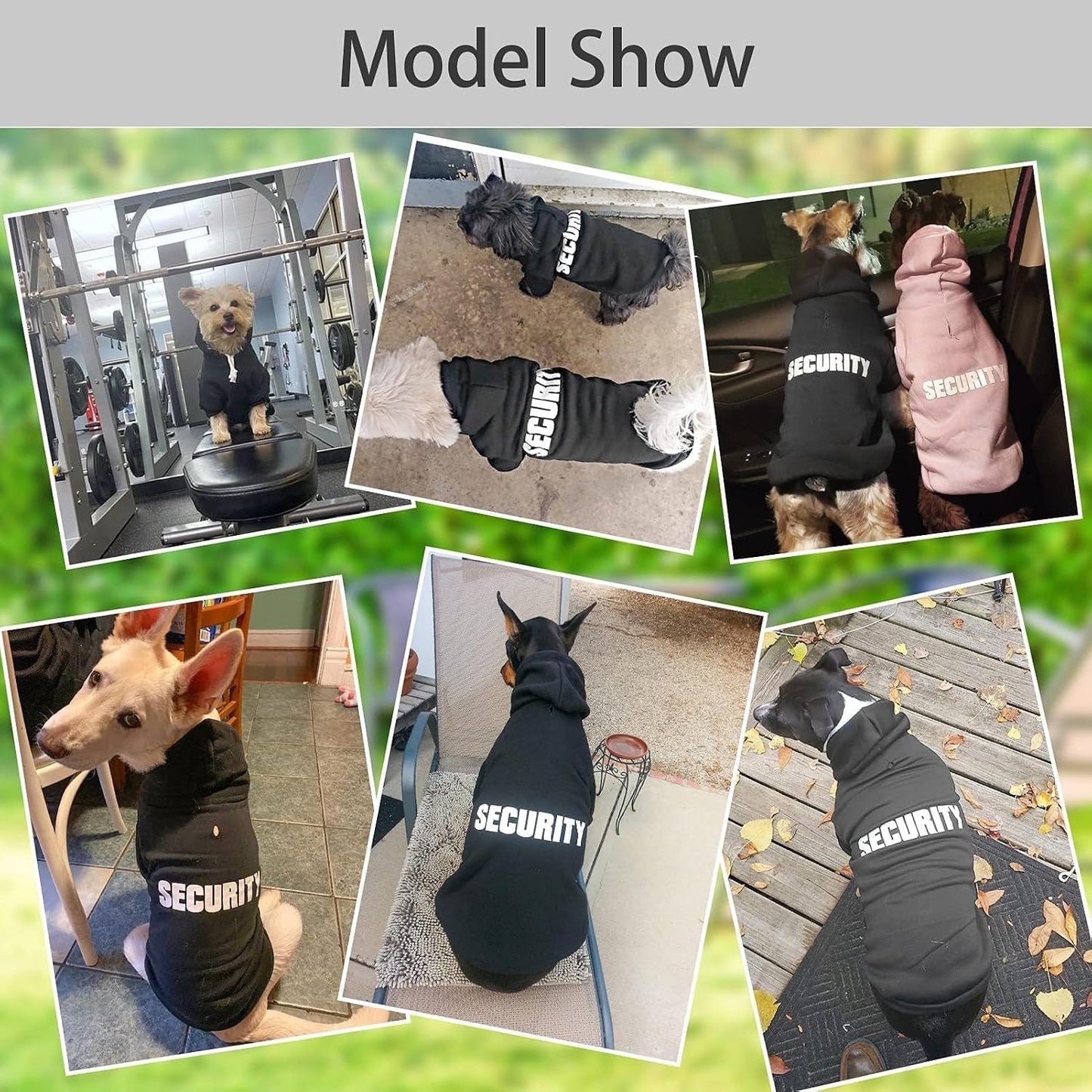 BINGPET puppy hooded sweatshirt ribbed cuffs fit details
