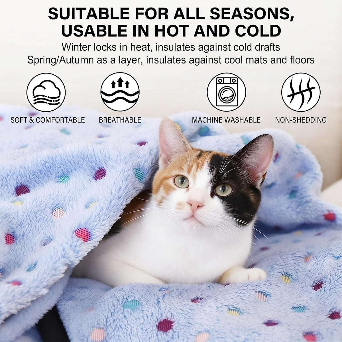Small indoor cat snuggling inside a warm imported flannel travel throw.
