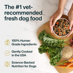 Premium imported JustFoodForDogs chicken and beef recipe pouches standing on a pantry shelf.
