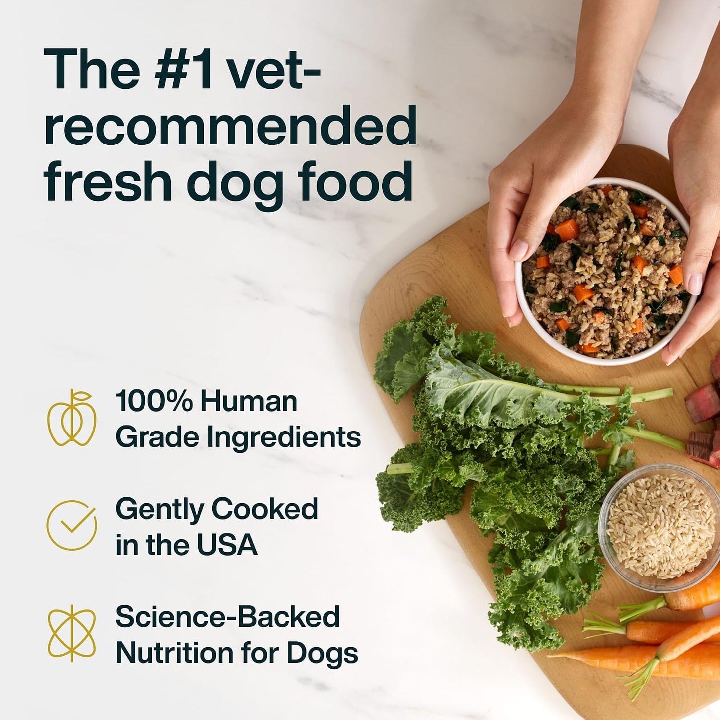 Premium imported JustFoodForDogs chicken and beef recipe pouches standing on a pantry shelf.