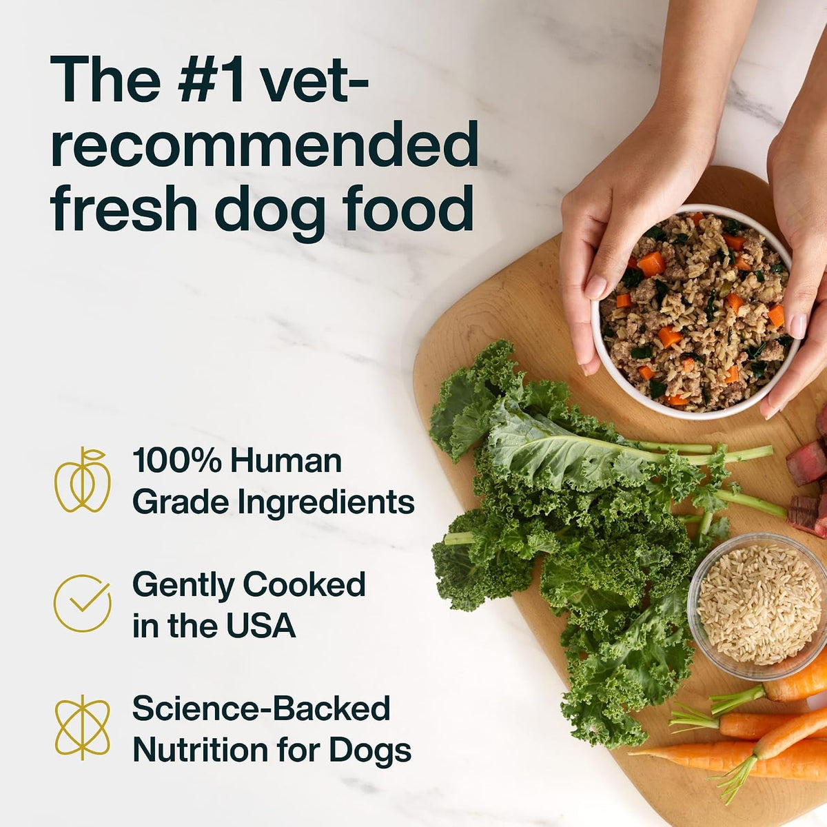 Premium imported JustFoodForDogs chicken and beef recipe pouches standing on a pantry shelf.
