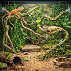 Hercocci bendable terrarium vine setup