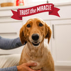 Nature's Miracle Urine Destroyer Plus for Dogs with Flip & Go Sprayer, 64 Ounces, Enzymatic Formula for Dogs Powers Out Tough Dog Urine Messes and Yellow, Sticky Residue - Image 9