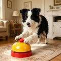 Kexiava dog training call bell set front view